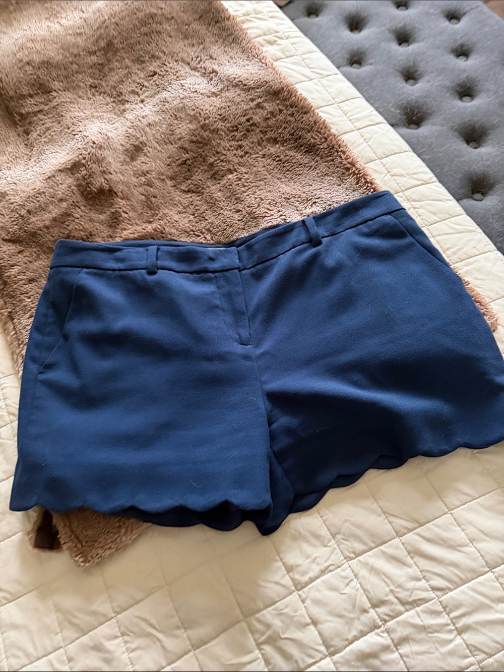 Garnet Hill Navy Scalloped High-Waist Shorts